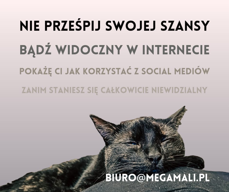 Nie prześpij swojej szansy zanim się staniesz niewidzialny - plakat z kotem