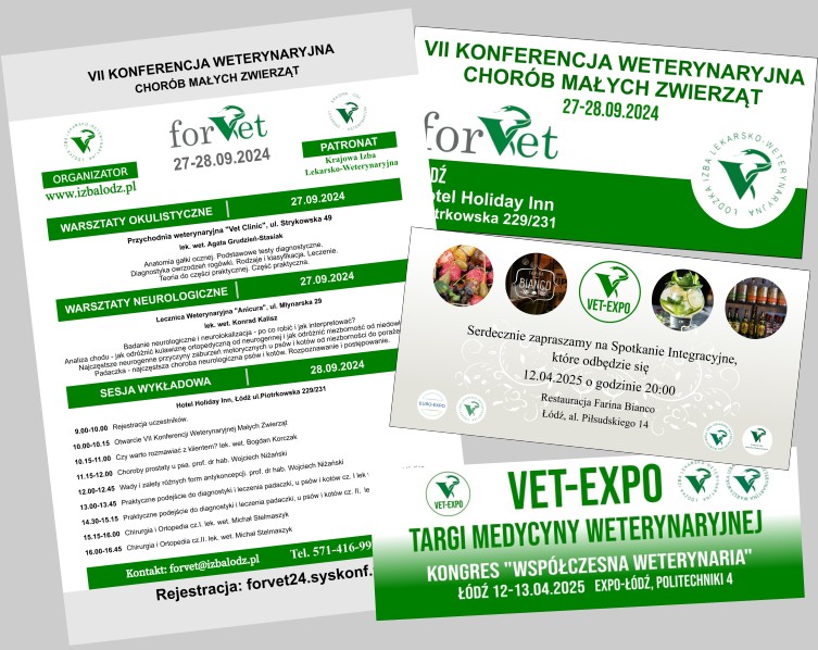 Identyfikacja wizualna - grafiki dla kongresu ForVet