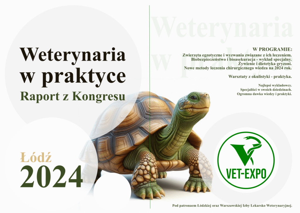 Grafika żółw